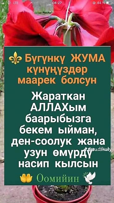 Отдых на Иссык-Куле: Продаётся зем.участок 0.6 га.на берегу Иссык-Куля, на участке — 1