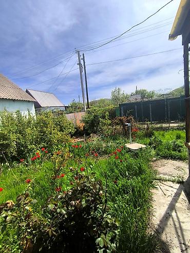 Продажа дачи: 🏡 ДАЧА САТЫЛАТ — ШААРГА 25 КМ! 💰 Баасы: 40 000$ 📐 Жер аянты: 4,5 сотых — 12