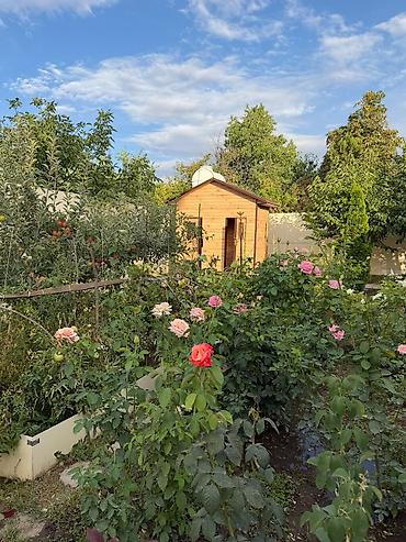 Продажа дачи: 🌿 Продаётся уютный благоустроенный загородный дом в живописном месте! — 15