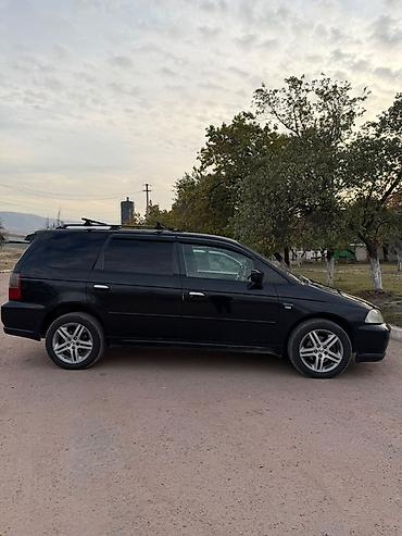 самурай купить: Honda Odyssey: 2003 г., 3 л, Автомат, Бензин, Минивэн — 1
