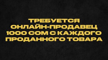 ищу надомную работу: Требуется онлайн-продавец (1000 сом с каждого проданного товара). -