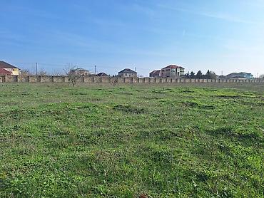 kupça: 200 sot, Tikinti, Mülkiyyətçi, Kupça (Çıxarış) — 2