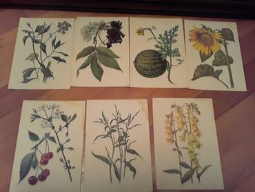 Açıqcalar: 2 штуки-1 манат.Советские открытки. Есть еще открытки, марки — 11