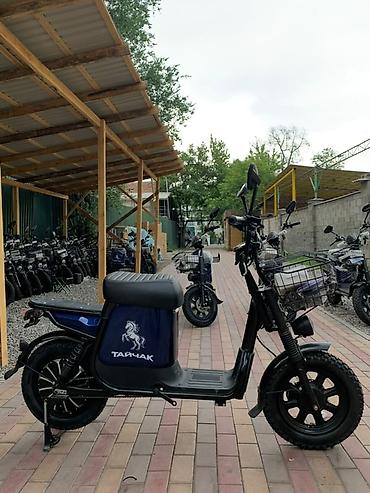mini ev: Электроскутер (городской/дачный) - Электропривод заднего колеса — 6