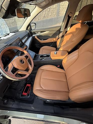 Weltmeister: Weltmeister W6, 2022 г. — 14