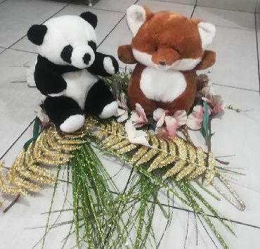 Sobne biljke: Igračke panda i Lisica
Novo