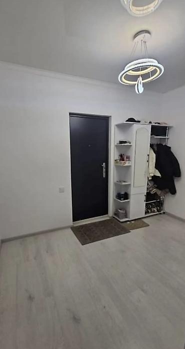 пш метр: 50 м², Толугу менен эмереги бар — 7