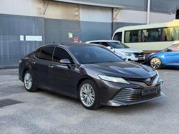 ремень безопасности камри: Toyota Camry: 2019 г., 2.5 л, Вариатор, Гибрид, Седан
