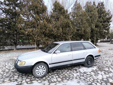 Audi: Audi 100: 1991 г., 2.3 л, Механика, Бензин, Универсал