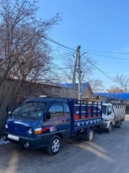 искусственные цветы оптом бишкек: Портер такси вывоз мусора переезд и т д…Портер такси вывоз мусора