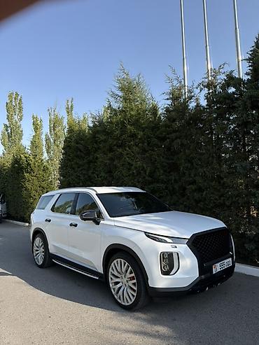 go park: Hyundai Palisade: 2020 г., Автомат, Дизель, Кроссовер — 1