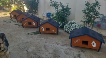 Yuvalar: Məhsul: Açıq havada istifadə üçün taxta pişik evi Təsvir: - Küçə və — 20