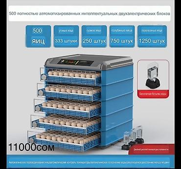 Инкубаторы с двойным электроприводом и полностью автоматическим
