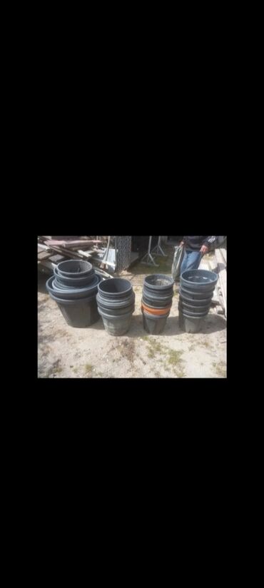 Ağaclar: 175eded Müxtəlif ölçülü qara rəngli qablar. Bu qablar bağçılıq işləri