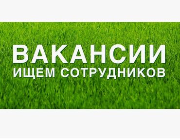 работа.кг: 🌿 ландшафтная компания ищет сотрудников! 🌿 📌 постоянная стабильная