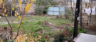 yeni əmlak az: 36 sot, Tikinti, Mülkiyyətçi, Kupça (Çıxarış) — 1