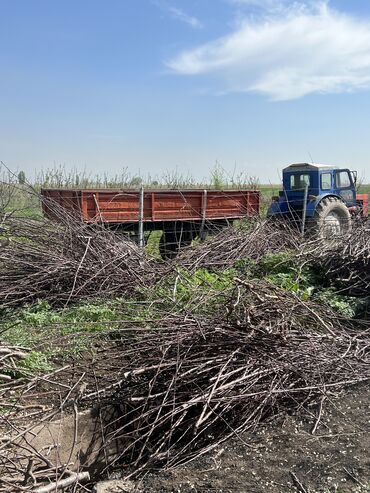 солнечные батареи для дома: Срочно продаю дрова- хворост дешево один трактор 1500 сом есть 25