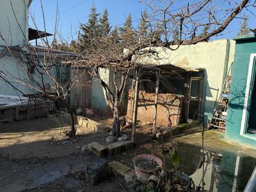 Uzunmüddətli kirayə evlər: 150 kv. m, 2 otaqlı, Artezian quyusu, Kombi, Qaz — 18