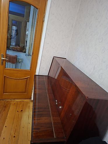 Musiqi alətləri: Piano, Belarus, Akustik, İşlənmiş — 6