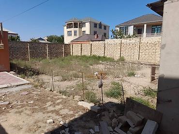 baxca: 3 sot, Kənd təsərrüfatı, Mülkiyyətçi, Kupça (Çıxarış) — 6