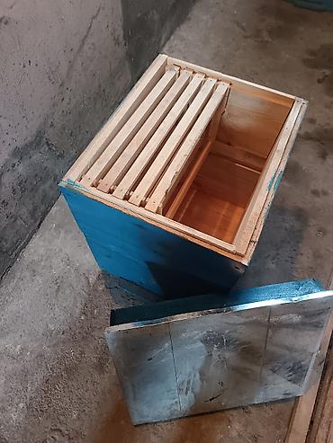 sudluk inekler satışı: Arıçılıq üçün taxta pətək korpusları - Material: qalın taxta — 1