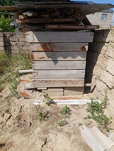 Qapılar və aksessuarlar: Məhsul: Taxta otaq qapıları (şüşəli və şüşəsiz modellər) Təsvir: - — 5