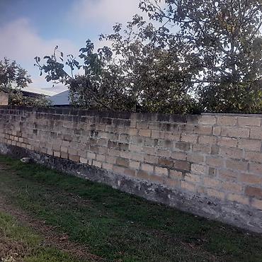купить дачу в вишневке в баку: 5 комнат, 200 м², Нет кредита, Средний ремонт — 8