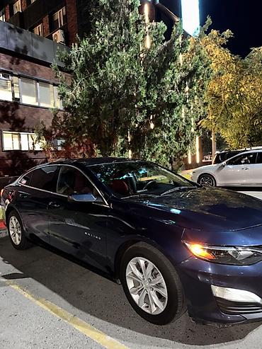 малибу 2: Chevrolet Malibu: 2019 г., 1.5 л, Автомат, Бензин, Седан — 2