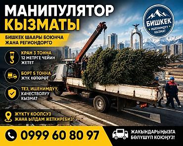 hiab 250: Стрела 12 м, 3 т, Борт 5 кг — 1
