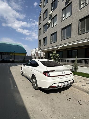 sonata dn: Hyundai Sonata: 2019 г., 2 л, Автомат, Газ, Седан — 4
