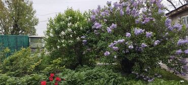 Продажа участков: 5 соток, Для строительства — 3