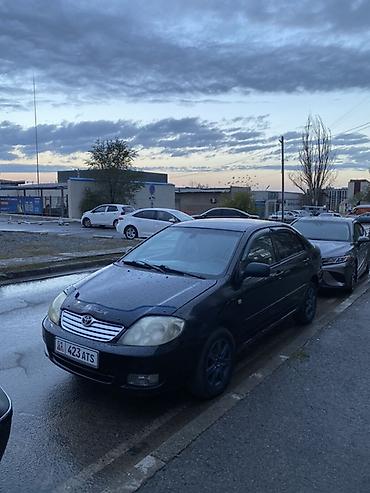 Toyota Corolla: 2005 г., 1.6 л, Автомат, Бензин, Седан