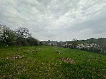 ismayilli torpaq: 5 sot, Tikinti, Mülkiyyətçi, Kupça (Çıxarış) — 5