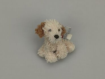 uzywane rajstopy olx: Mascot Dog, condition - Fair