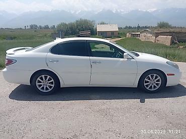 рул: Toyota Windom: 2002 г., 3 л, Автомат, Бензин, Седан — 1
