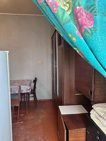 Həyət evləri və villalar: 30 kv. m, 1 otaqlı, İnternet, Telefon, Qaz — 8
