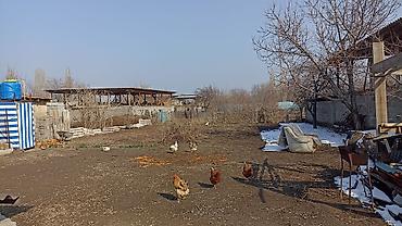 Продажа коттеджей и домов: Продаётся частный дом с большим участком и хозяйственными — 4