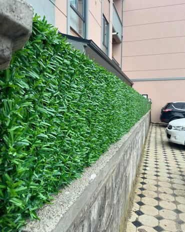 setqa hasar: ✅ İstənilən məkana uyğun yaşıl hasar ✅ Kvadrat metri 18 AZN-dən