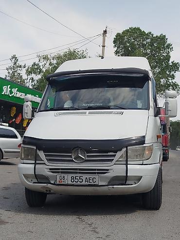 w210 e320: Пункт назначения: Все направления, Лицензия №: 08В004748 — 7