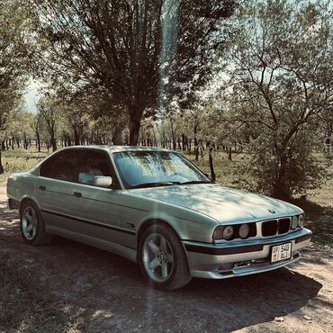 телефон для авто: BMW 5 series: 1995 г., 2.5 л, Механика, Бензин, Седан