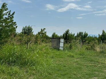 Torpaq sahələrinin satışı: 285 sot, Kənd təsərrüfatı, Mülkiyyətçi, Kupça (Çıxarış) — 9