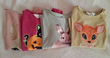 pepco cipele za bebe: H&M, Long sleeve, Minnie Mouse, 110-116