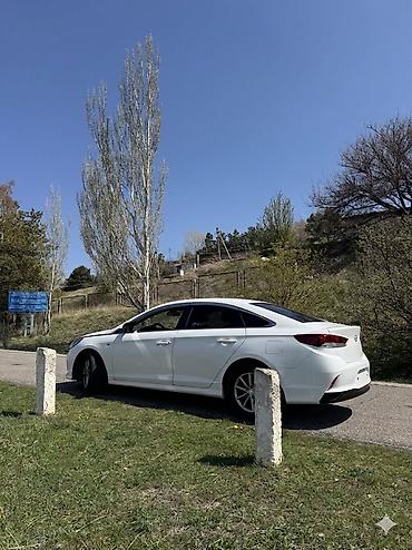 sonata: Hyundai Sonata: 2019 г., 2 л, Автомат, Газ, Седан — 9