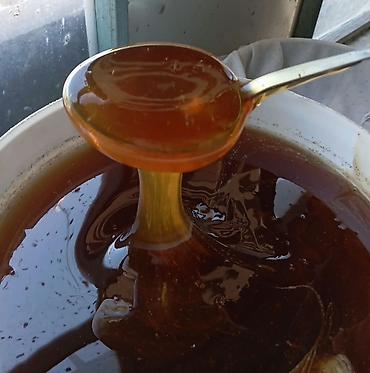 малина токмок: Мёд с собственной пасеки🐝🍯 Натуральный горный мёд - 100% продукт без — 2