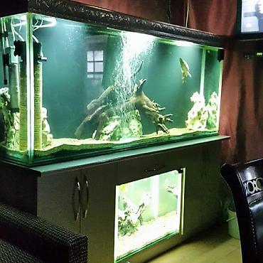 kristal yem mmc: Akvarium-şkaf, 1000 l, Pulsuz çatdırılma — 9