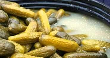 куплю огурцы оптом: Бадыраңдар