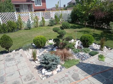 Другие услуги: 🍀стрижка хвойных🍀 🍀обрезка деревьев🍀 🍀Газон под ключ. 🍀Все виды — 2