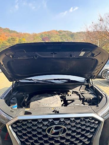 Hyundai: Hyundai Palisade: 2020 г., 2.2 л, Дизель, Кроссовер — 27