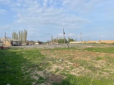 Продажа участков: 81 соток, Для бизнеса, Красная книга — 20