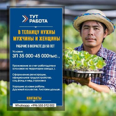 платья для полных женщин бишкек в Кыргызстан: 000599 | Россия. Сельское хозяйство. Полный рабочий день